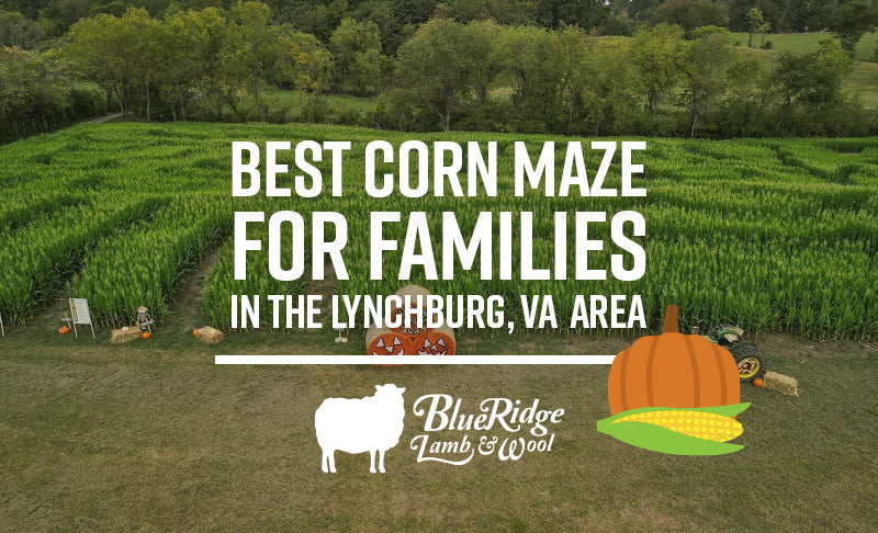 Best Corn Maze For Families in the Lynchburg, Virginia Area