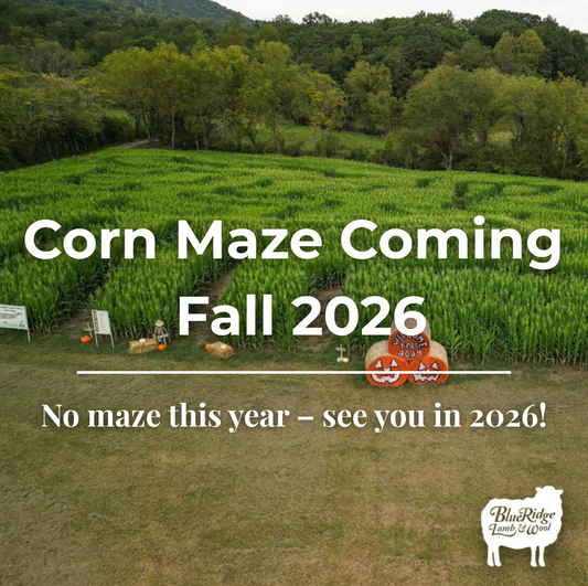 Looking Ahead: Corn Maze Coming Back in Fall 2026