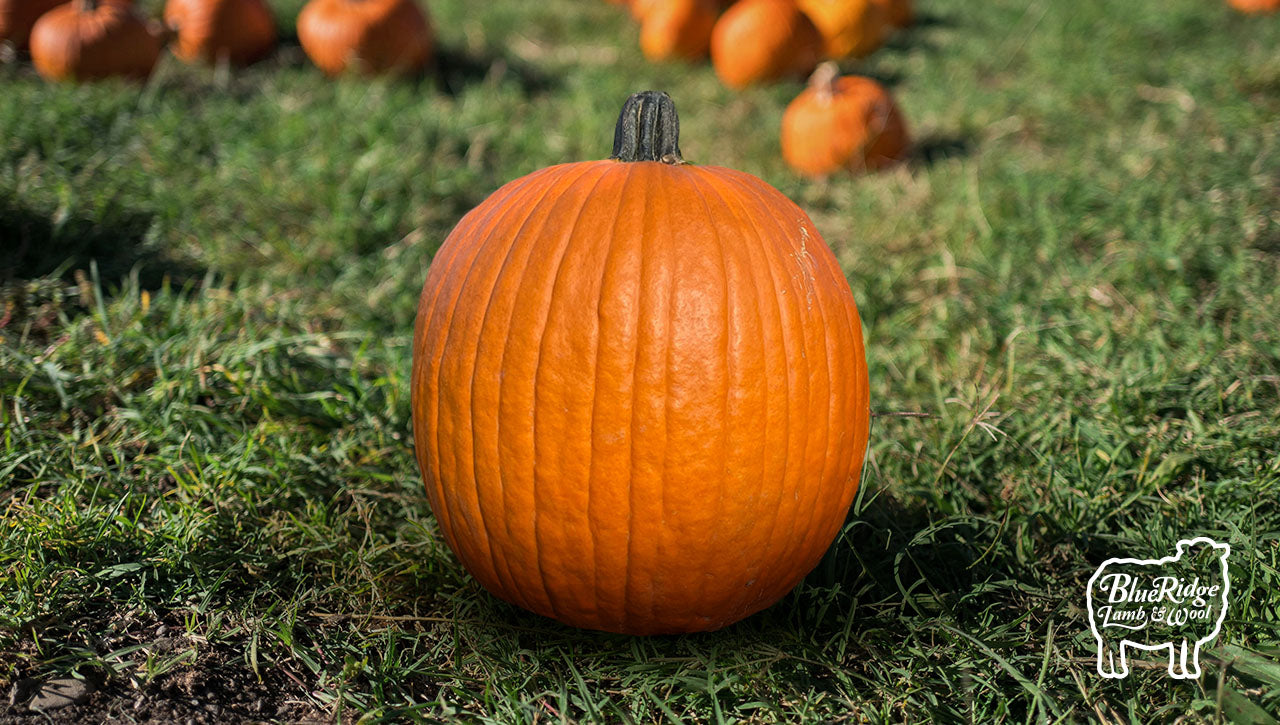 Carving Pumpkin