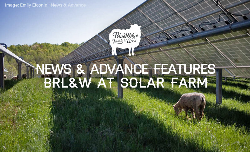 News & Advance Features BRL&W at Bedford Solar Farm