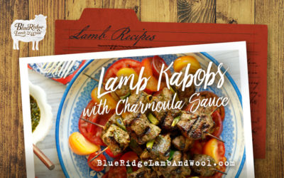 Recipe: Lamb Kabobs with Charmoula Sauce