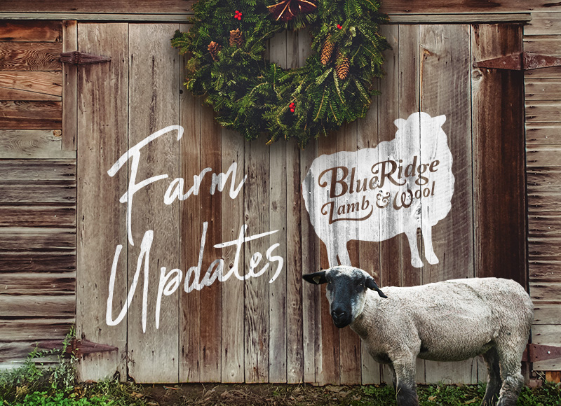 Farm updates - December 2022