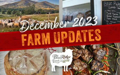 Farm Updates: Dec. 2023