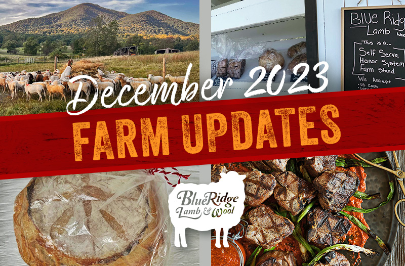 Blue Ridge Lamb & Wool farm updates